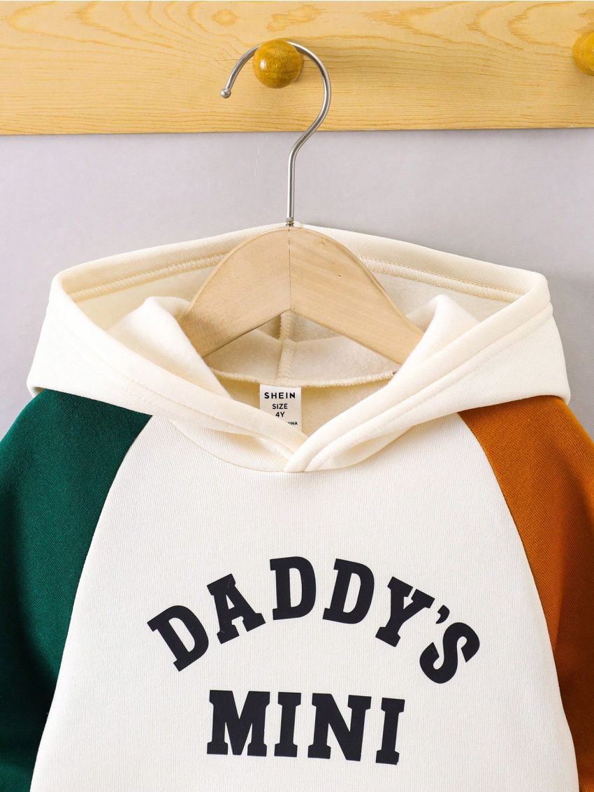 SHEIN Young Boy Color Block Hoodie With Raglan Sleeve