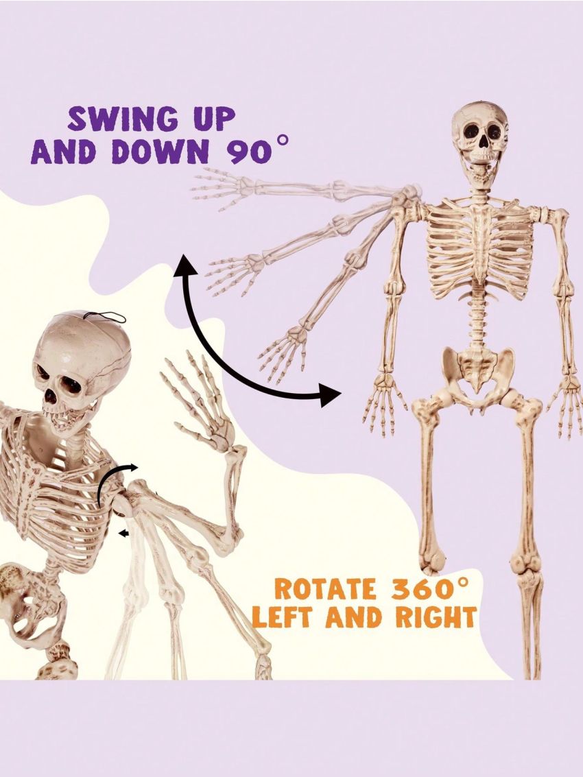 JOYIN 5.6 FT Life Size Skeleton Full Body Realistic Human Bones with Posable Joints for Halloween Pose Skeleton Prop Decoration, Indoor and Outdoor Use