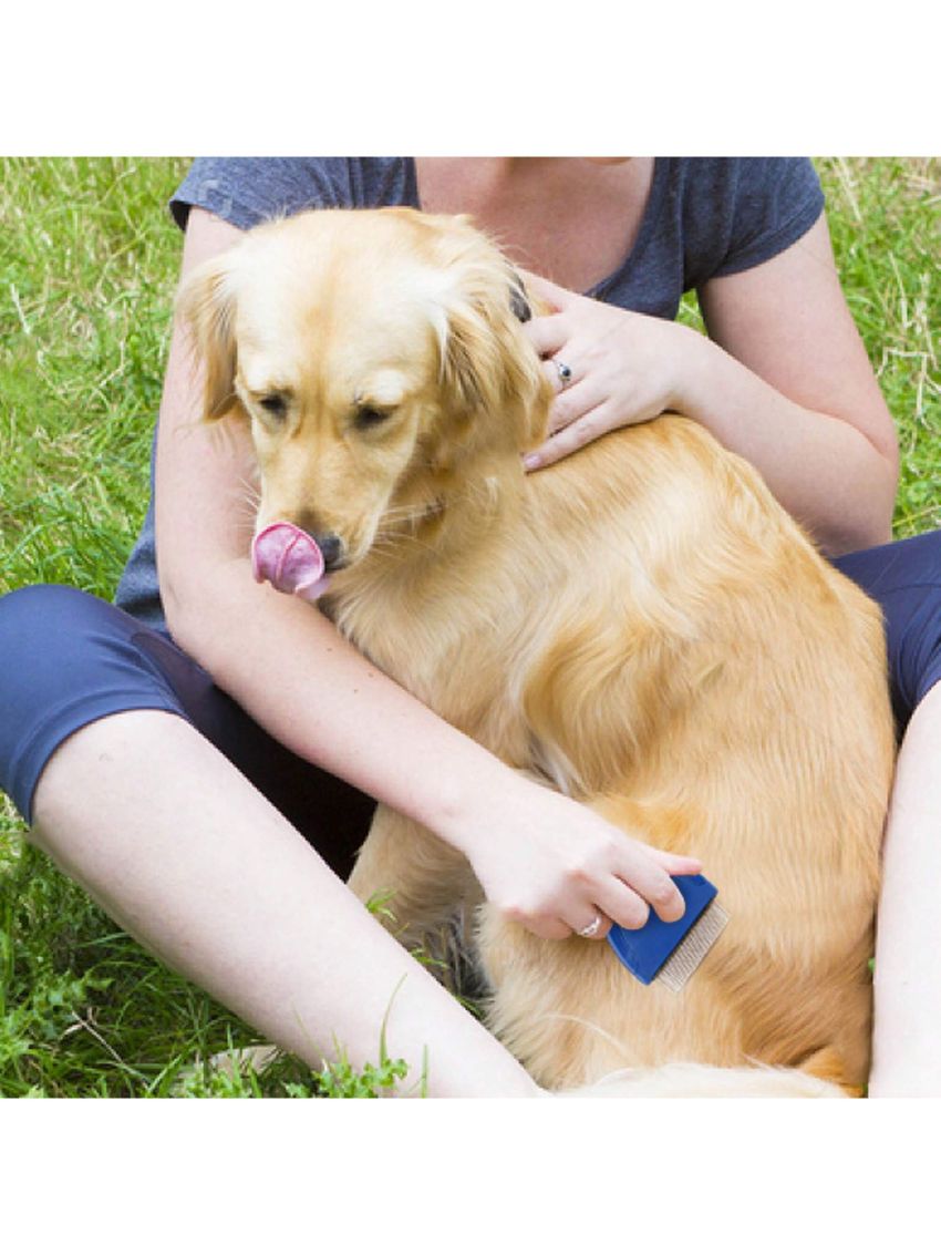 Flea Comb for Cat Dog, Pet Hair Removal Comb