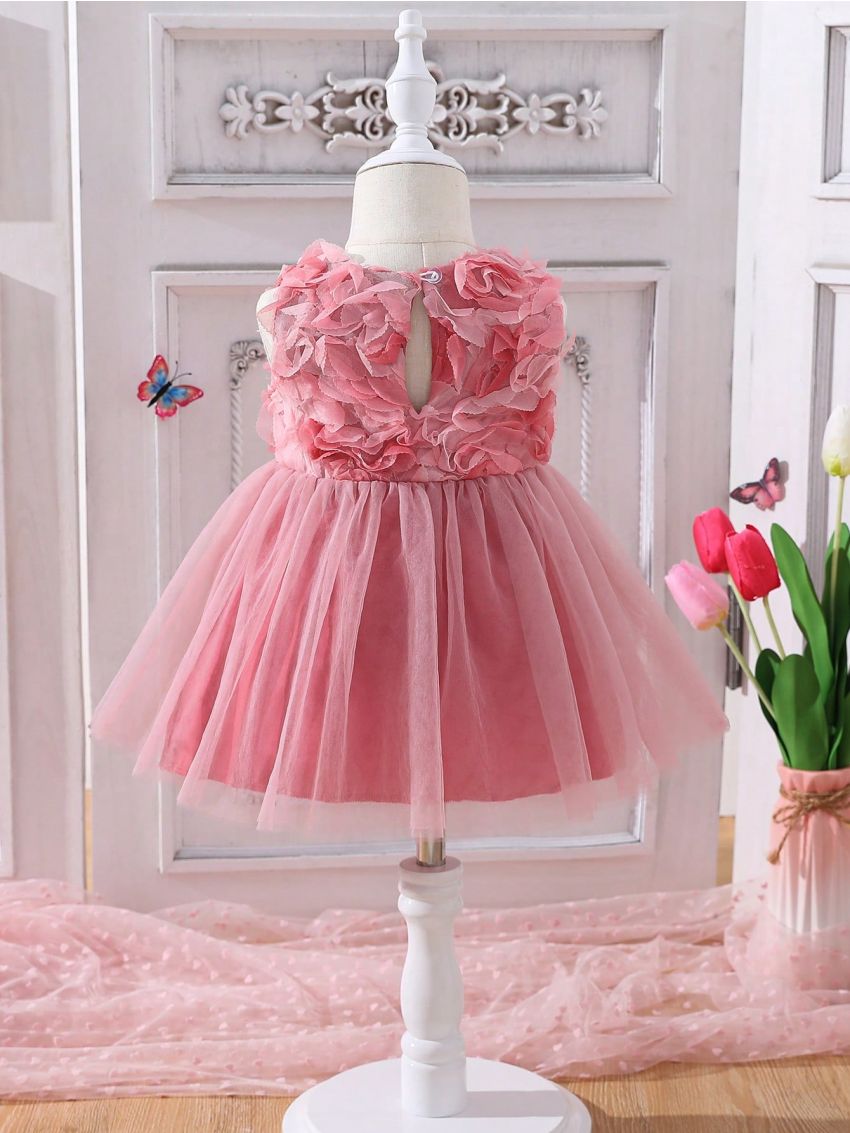 Baby Appliques Mesh Overlay Dress