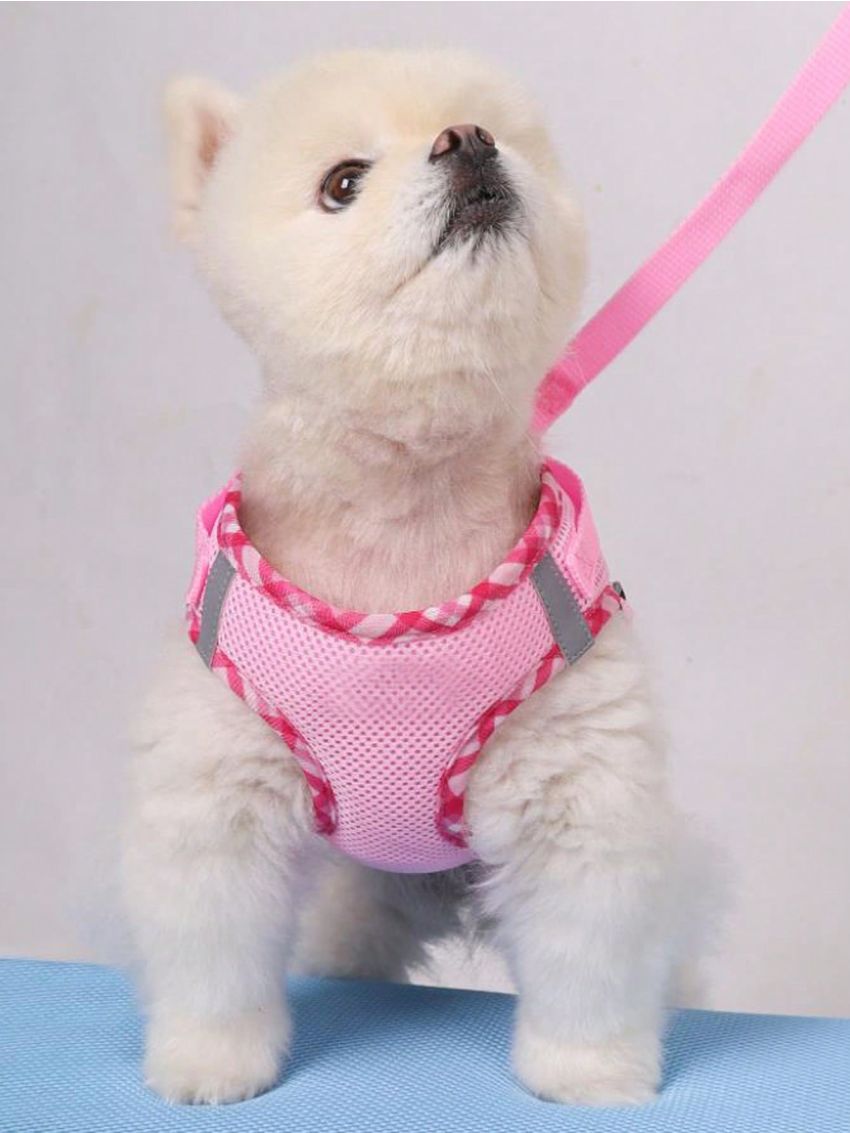1pc Set Breathable Reflective Checkered Edge Chest & Back Traction Rope Safety Harness, Suitable For Indoor And Outdoor Use, For Dogs And Cats