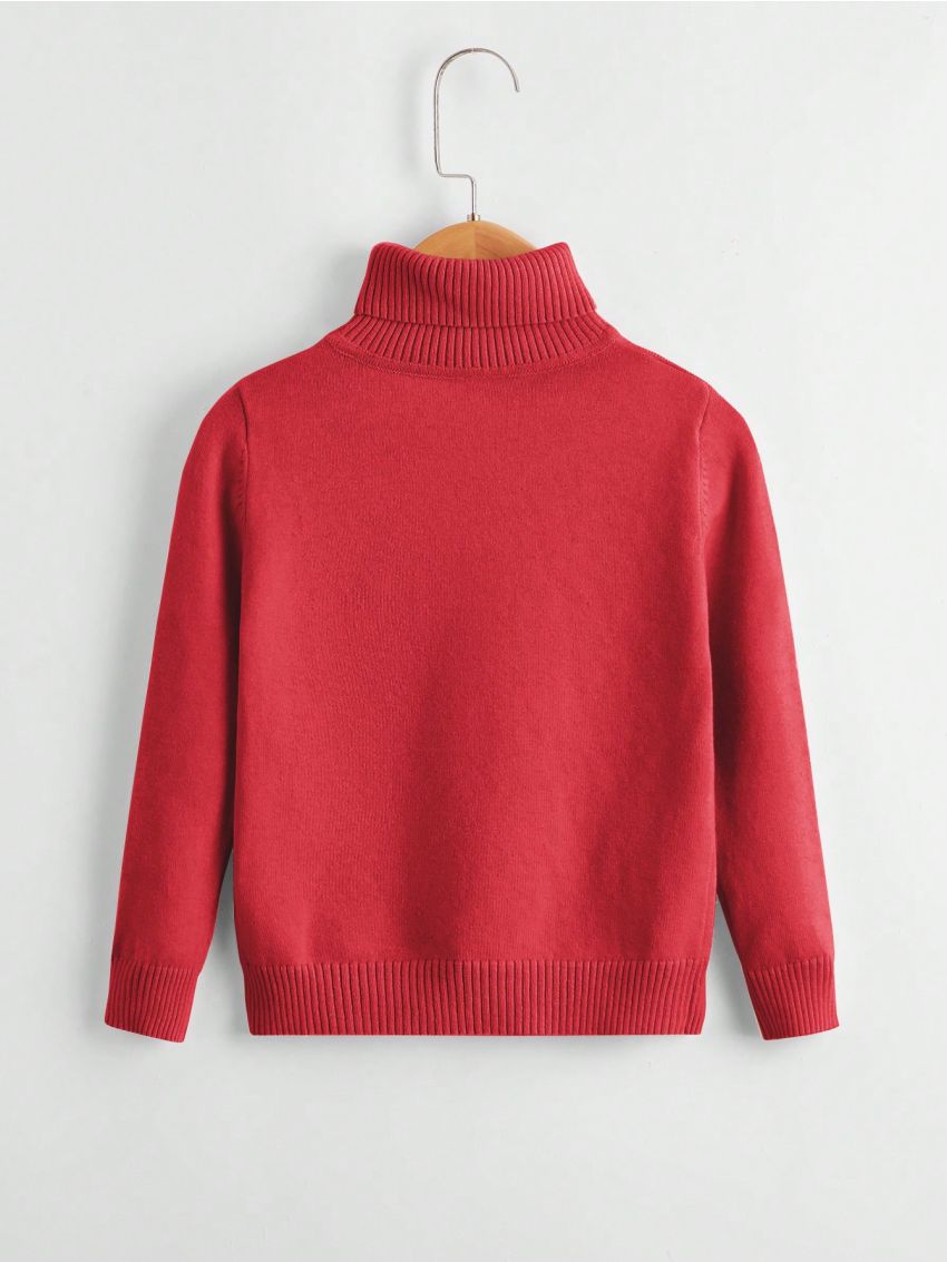 Boys' Solid Color Turtleneck Sweater (little Boy)