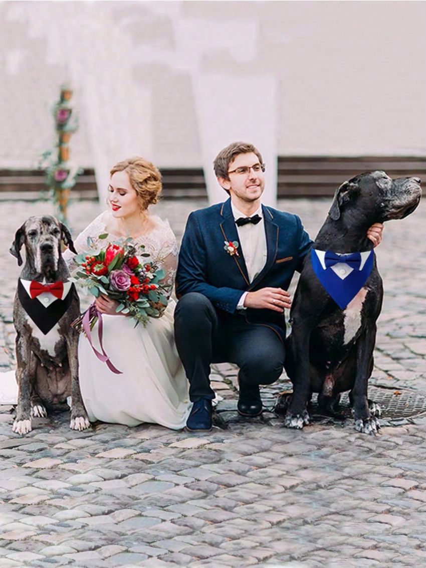 2pcs/set Pet Collar With Fashionable Wedding Bowtie & Suit Collar