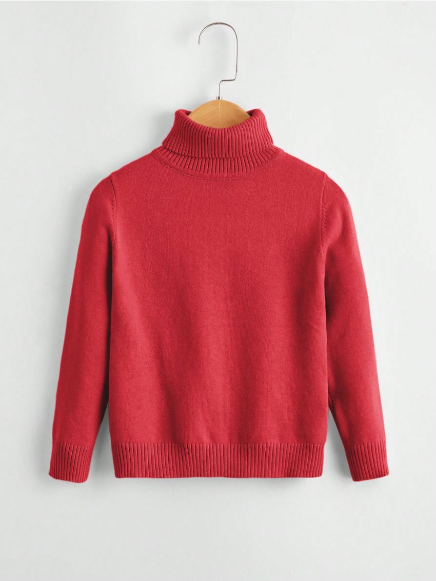 Boys' Solid Color Turtleneck Sweater (little Boy)