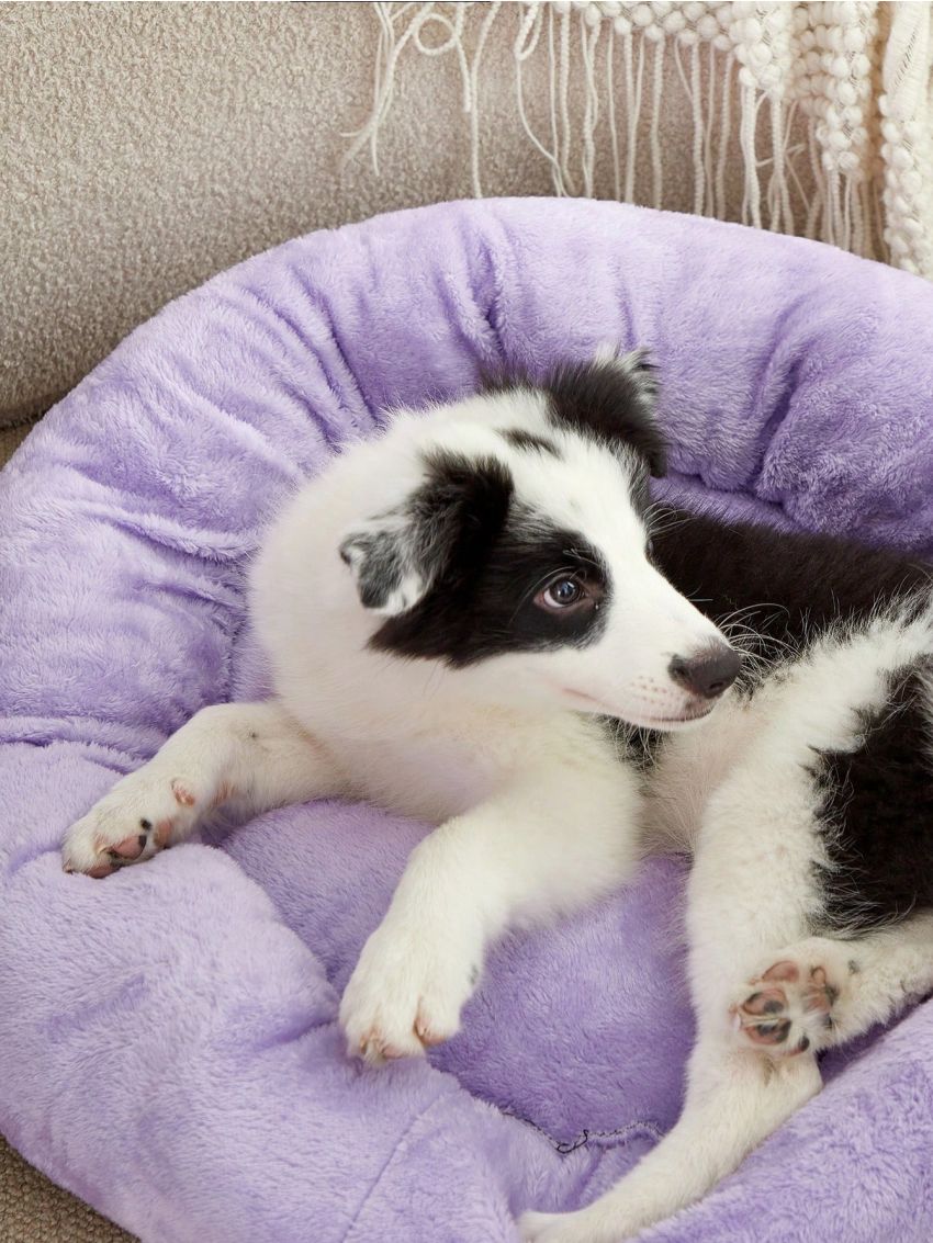 PETSIN Pink Purple Short Plush Soft Bedding Round Bed Mat For Deep Sleep, Washable, Suitable For Cats And Dogs