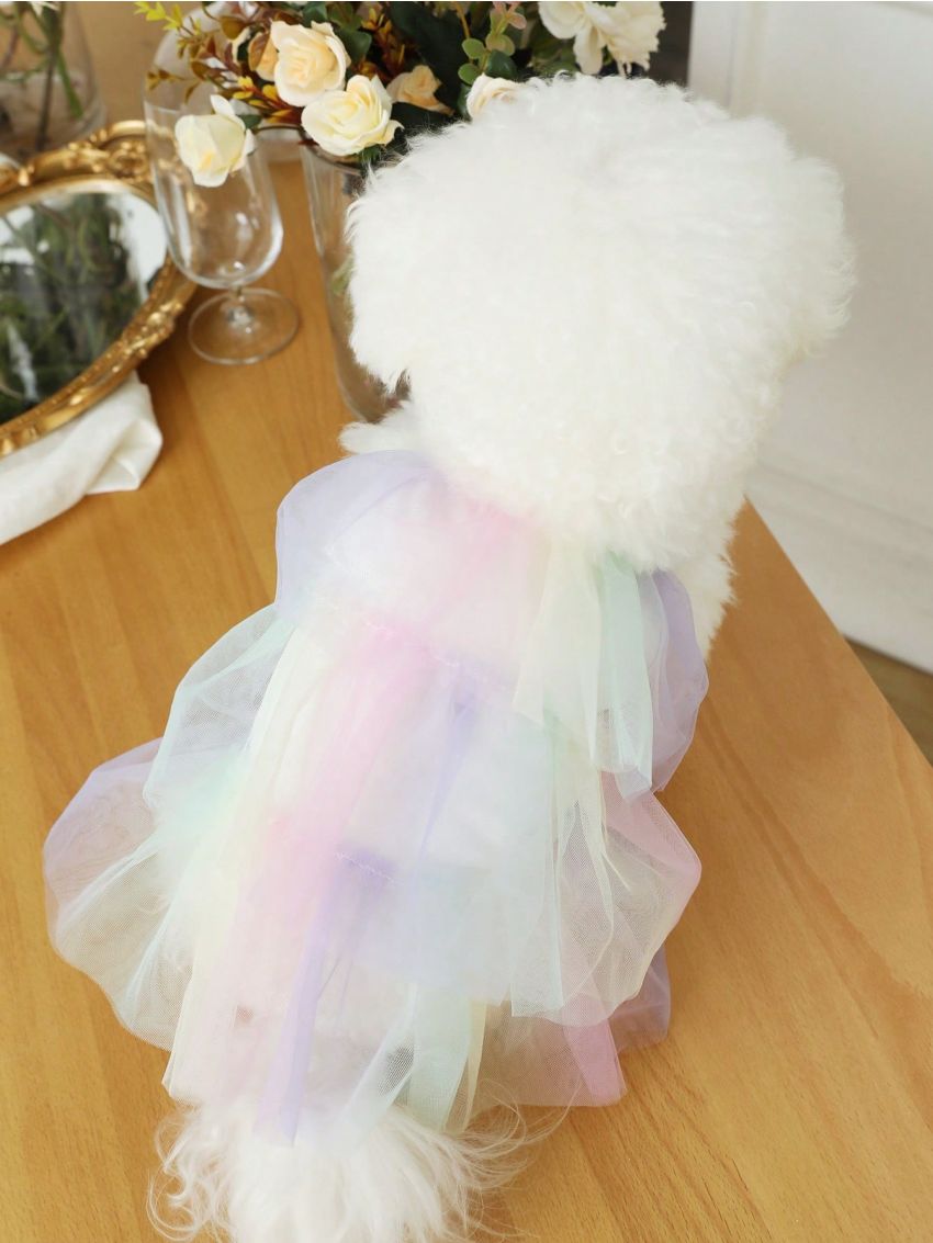 PETSIN Colorful Ombre Mesh Cami Dress