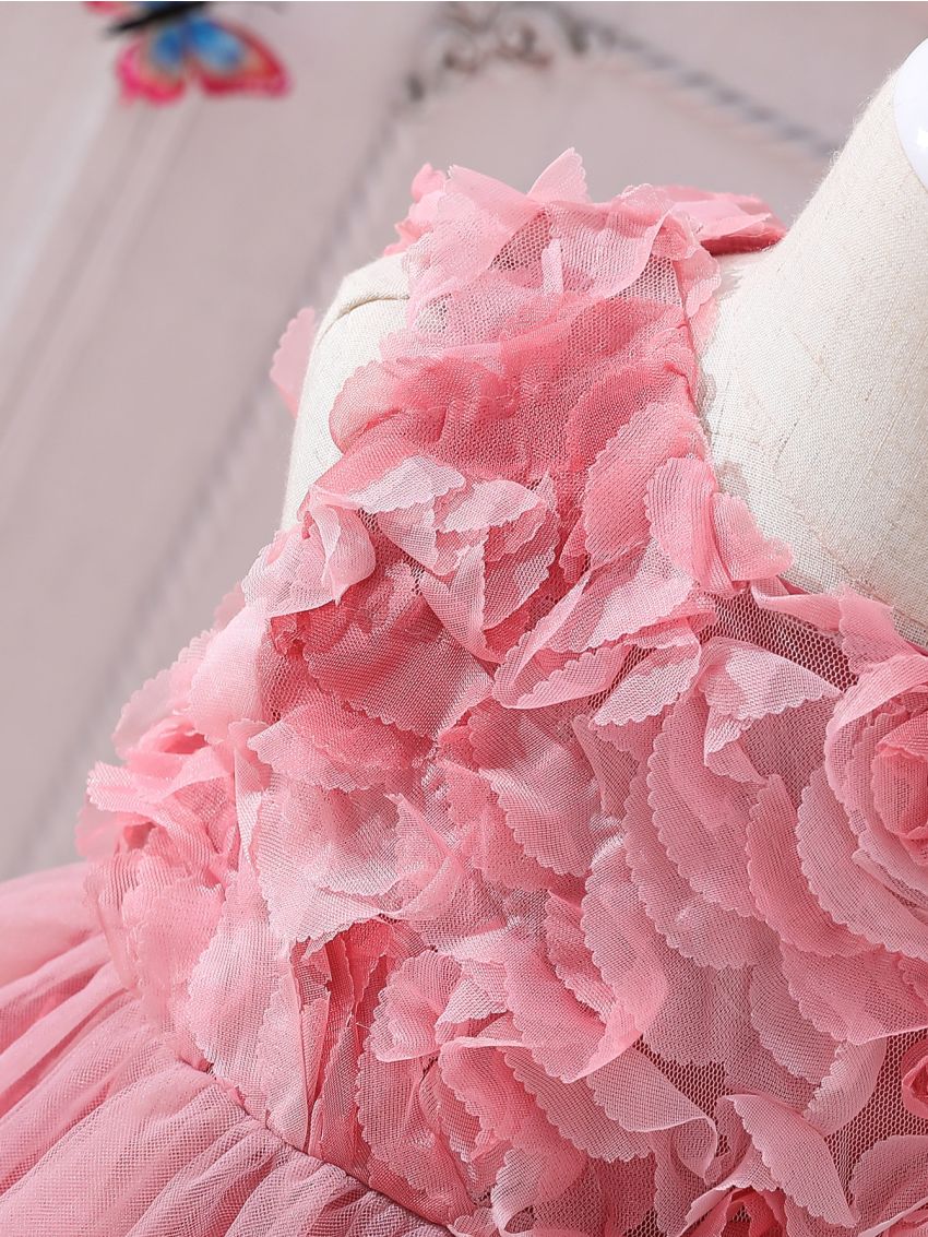 Baby Appliques Mesh Overlay Dress