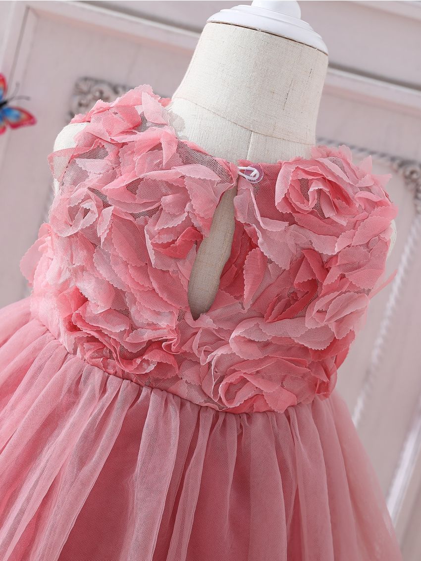 Baby Appliques Mesh Overlay Dress