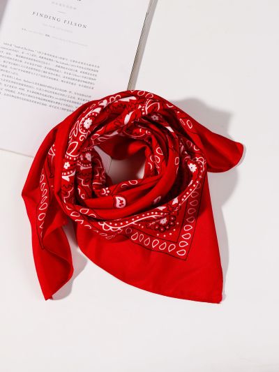 Paisley Print Bandana