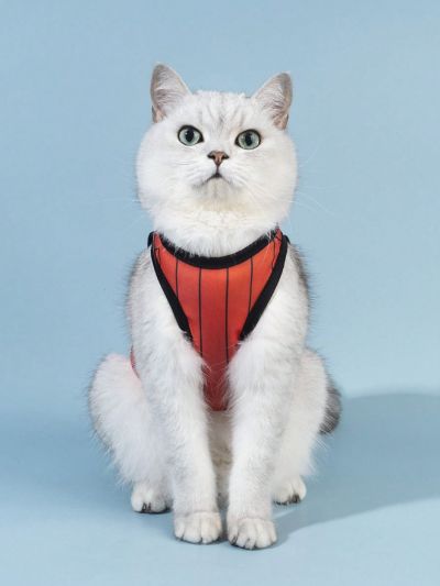 PETSIN Miami Jersey Style Red Striped Pet Vest, 1pc