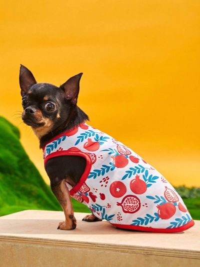 PETSIN Petsin Colorful Fruit Printed Pet Dog/cat Vest