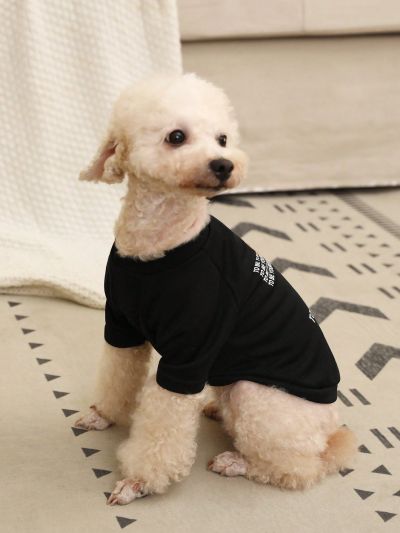 PETSIN 1pc Petsin Butterfly Print T-shirt For Pets