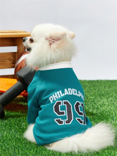 PETSIN Pet Football Jersey With Philadelphia Team Number & Bird-Eye Fabric, Cat And Dog T-Shirt