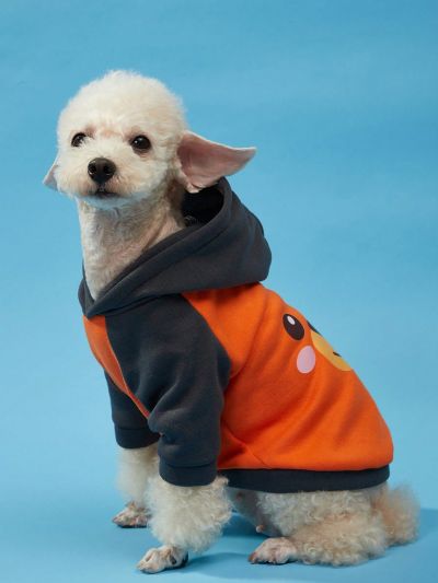 PETSIN 1pc Cartoon Bear Pattern Pet Hoodie