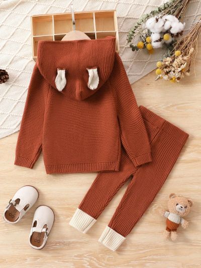 Baby Girl Raglan Sleeve Hooded Sweater & Contrast Panel Knit Pants
