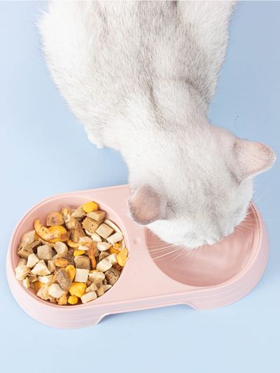 1pc Random Color Pet Double Bowl For Dog And Cat For Slow Food Feeding