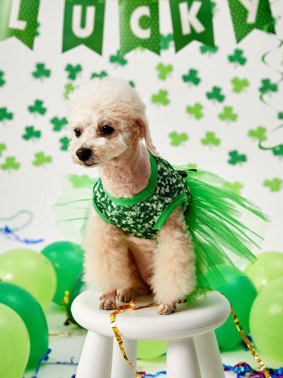 PETSIN St. Patrick's Day Green Sequin Printed Mesh Pet Tutu Dress, Cute Princess Skirt With Bow