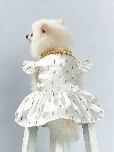 PETSIN Gold Foil Printed Satin Pet Dress With Delicate Lace Trim, Glamorous Clothes Suitable For Both Cats And Dogs