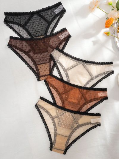 Plus Size Ladies' Mesh Heart Pattern Lace Trimmed Briefs (Pack Of 5)