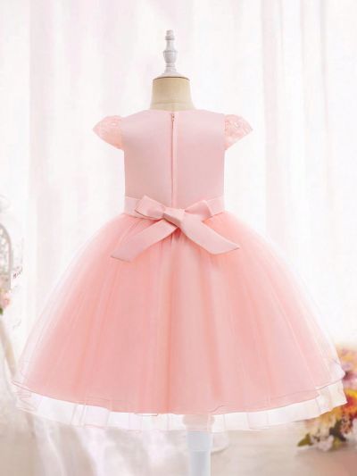 Young Girls Flower Embroidered Butterfly Applique Mesh Pompadour Dress