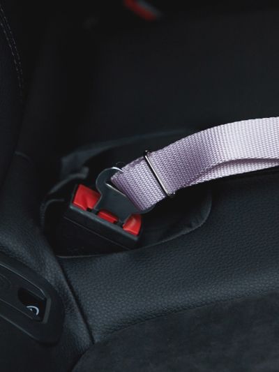 PETSIN Taro Purple Pet Car Safety Belt