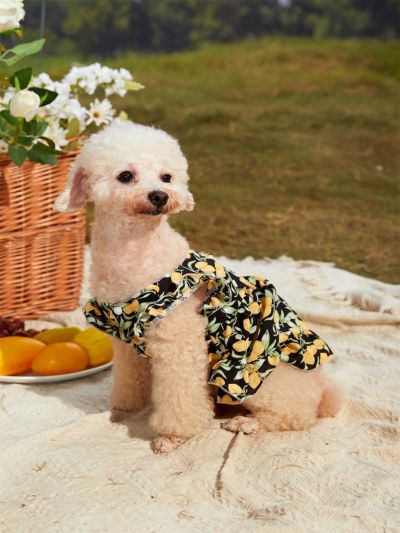 PETSIN Petsin Lemon Print Black Pet Bubble Skirt, 1 Pc