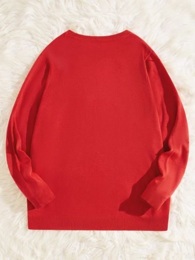 SHEIN Men Plus Christmas Elk & Geo Pattern Sweater