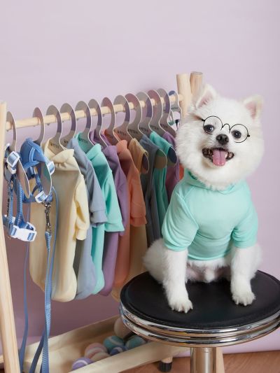 PETSIN 5sheets Paper Pet Hanger