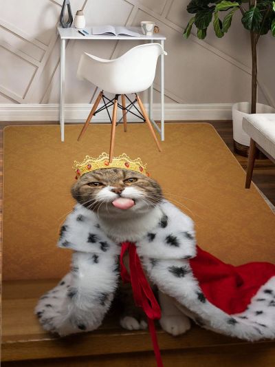 1pc Nordic-style Home Decoration Outdoor Balcony Soft Carpet With Lovely Cat Pattern, Living Room Modern Luxury Decor Sofa Table Area Rug, Bathroom Mat For Boys And Girls Room