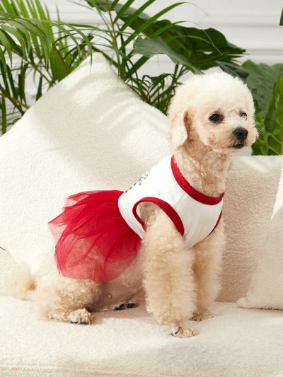 PETSIN 1pc Flower & Letter Graphic Pet Dress For Dog And Cat For Summer