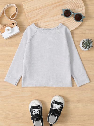 Newborn Baby Boys' Turn-Down Collar Raglan Sleeve Long Sleeve Cardigan For Fall And Winter