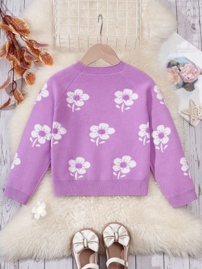 Toddler Girls' Floral Pattern Raglan Sleeve Sweater