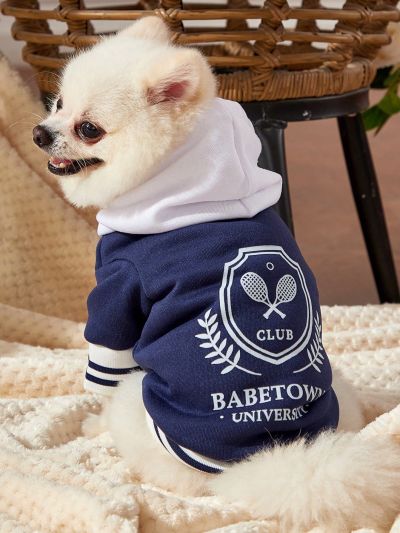 Venus In Bloom 1pc Blue & White Colorblock Tennis Inspired Jacket With Cute Pet Printed Cardigan Sweatshirt