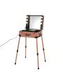 LED Makeup Case Cosmetic Train Table W/6 LED Lights & Rolling Wheels & Mirror