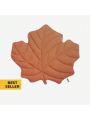 FUNNYFUZZY Leaf Shape Dog Blanket