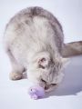 PETSIN Purple Small Mouse Interactive Cat Toy