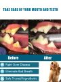 1pc Pet Teeth Cleaning Spray For Dog And Cat For Teeth Cleaning