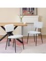 Dining Room Chairs Set of 2, Modern Comfortable Feature Chairs with Faux Plush Upholstered Back and Chrome Legs, Kitchen Side Chairs for Indoor Use Home, Apartment