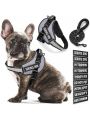 BB Brotrade Dog Vest,9 Dog Patches No Pull Dog Harness and Leash Set with Handle,Easy On and Off Pet Vest Harness with Night Safe Reflective Straps for Small Medium Large Breed Dogs