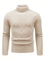 Men's Solid Color Turtleneck Sweater