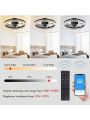 Surnie Modern Flush Mount Ceiling Fan with Lights,Indoor Dimmable Low Profile Ceiling Fans with Remote Control,Smart 3 Light Color Change and 6 Speeds for Bedroom Living Room Kitchen (Black)
