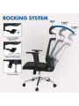 Ergonomic Office Chair with Adjustable Headrest, Lumbar Support, Mesh Desk Chair, Swivel Executive Task Chair, Computer Chair