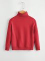 Boys' Solid Color Turtleneck Sweater (little Boy)